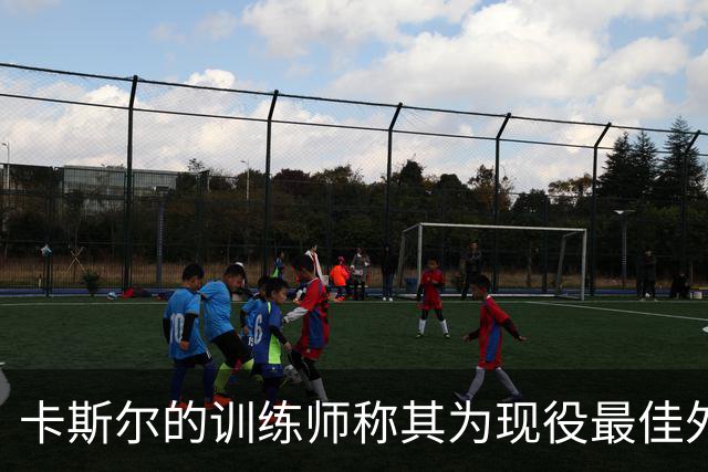 卡斯尔的训练师称其为现役最佳外线射手 休赛季重点提升投篮能力